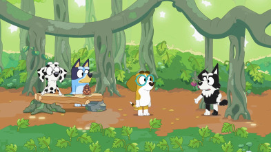 Imagen de Bluey (T1): Tiendas - 1