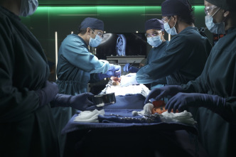 Imagen de The Good Doctor (T4) - 6