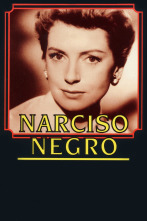 Imagen de Narciso negro - 1