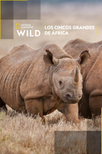 Imagen de Los cinco grandes de África - 1