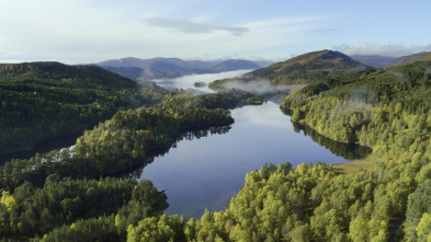 La hora de la naturaleza: Entendimiento