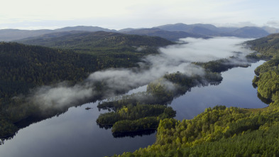 La hora de la naturaleza: Entendimiento