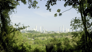 Imagen de La hora de la naturaleza: Despertar - 4