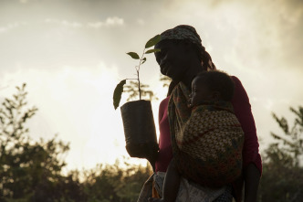 La hora de la naturaleza: Despertar