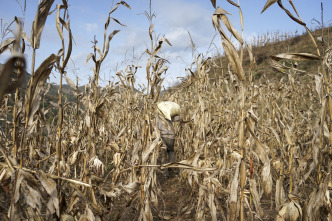 La hora de la naturaleza: Despertar