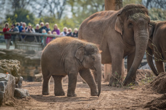 La vida secreta del Zoo (T6): Ep.1