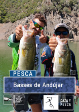 Basses de Andújar