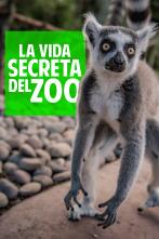 La vida secreta del Zoo (T6)