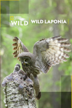 Wild Laponia