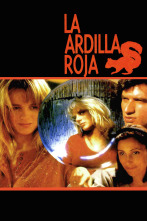 Imagen de La ardilla roja - 1