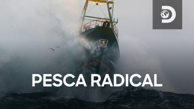 Pesca radical: Un único punto de error