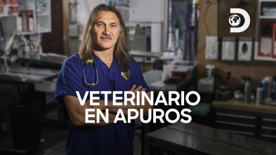 Imagen de Veterinario en apuros: Cuidado con el gato - 2