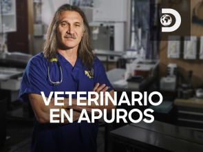 Imagen de Veterinario en apuros: Cuidado con el gato - 3