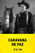 Imagen de Caravana de paz - 1