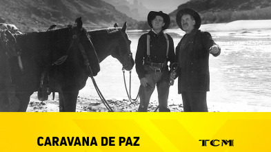 Imagen de Caravana de paz - 2