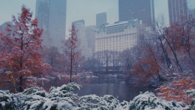 Navidades en el Plaza