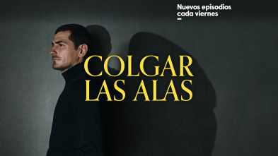 Colgar las Alas 