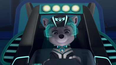 Imagen de La patrulla al rescate - 4