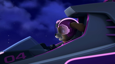 Imagen de La patrulla al rescate - 5