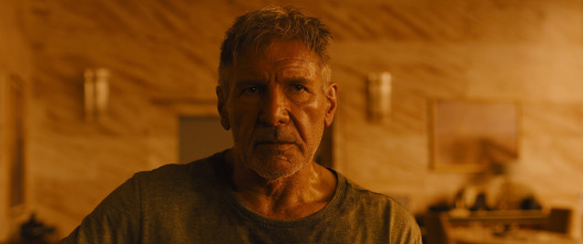 Imagen de Blade Runner 2049 - 9