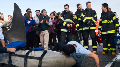 Imagen de 9-1-1 (T2): Ep.11 Nuevos comienzos - 1