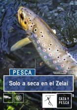 Solo seca en el Zelai