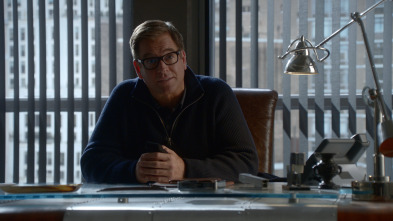 Imagen de Bull (T5) - 1