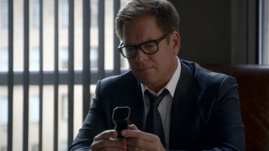 Imagen de Bull (T5) - 9