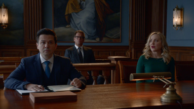 Imagen de Bull (T5) - 11