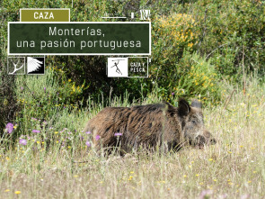 Imagen de Montería, una pasión portuguesa - 2