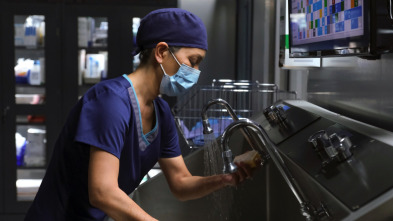 Imagen de The Good Doctor (T4): Ep.6 Lim - 1
