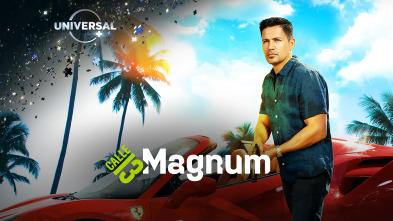 Imagen de Magnum (T2) - 2