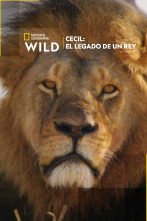 Cecil: el legado de un rey