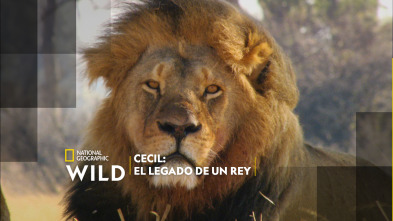 Imagen de Cecil: el legado de un rey - 2