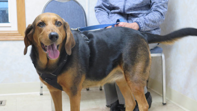 Imagen de El increíble doctor Pol  - 9