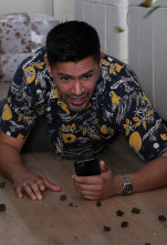 Imagen de Magnum (T1): Ep.16 Un asesinato nunca es discreto - 1