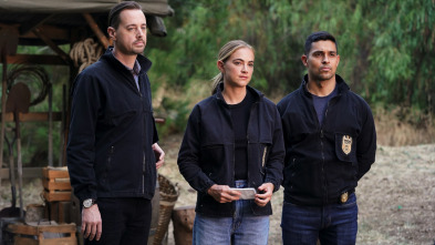 Imagen de NCIS: Naval... (T18): Ep.3 Sangre y Tesoros - 2