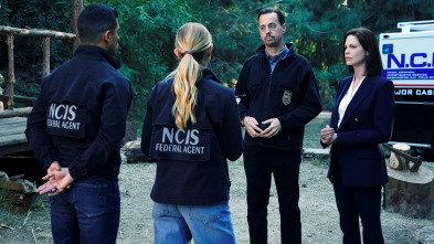 Imagen de NCIS: Naval... (T18): Ep.3 Sangre y Tesoros - 4