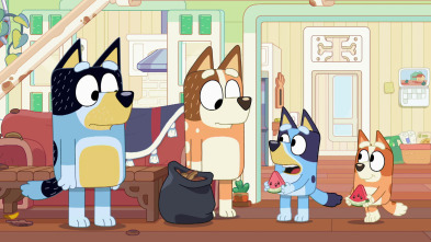 Imagen de Bluey (T2): Hammerbarn - 1