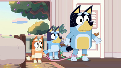 Bluey (T2): Papá nos lleva al cole