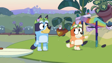 Bluey (T2): Isla Alfombra