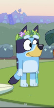 Bluey (T2): Isla Alfombra