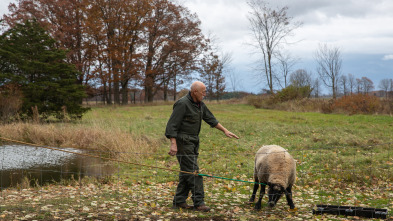Imagen de El increíble doctor Pol  - 12