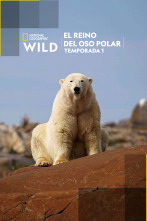 Imagen de El reino del oso polar  - 1