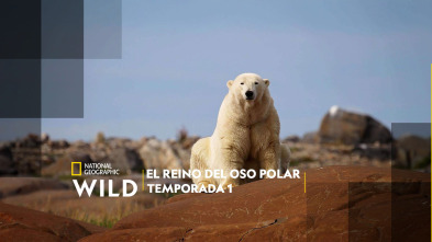 Imagen de El reino del oso polar  - 2