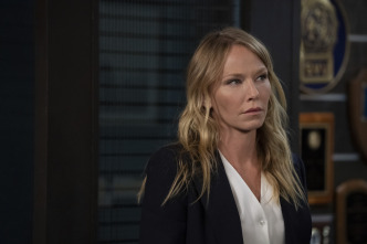 Imagen de Ley y orden:... (T22): Ep.2 La balada de Dwight e Irena - 10