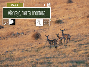 Imagen de Alentejo, tierra montera - 2