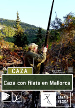 Caza con filats en Mallorca