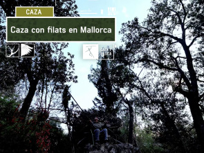Imagen de Caza con filats en Mallorca - 2