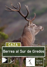 Berrea al sur de Gredos